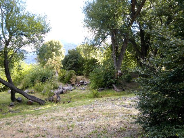 place photo 41