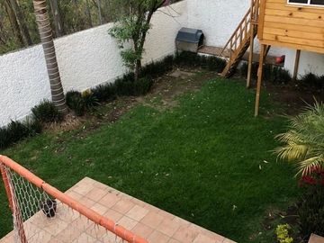 place photo 36