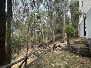 place photo 43