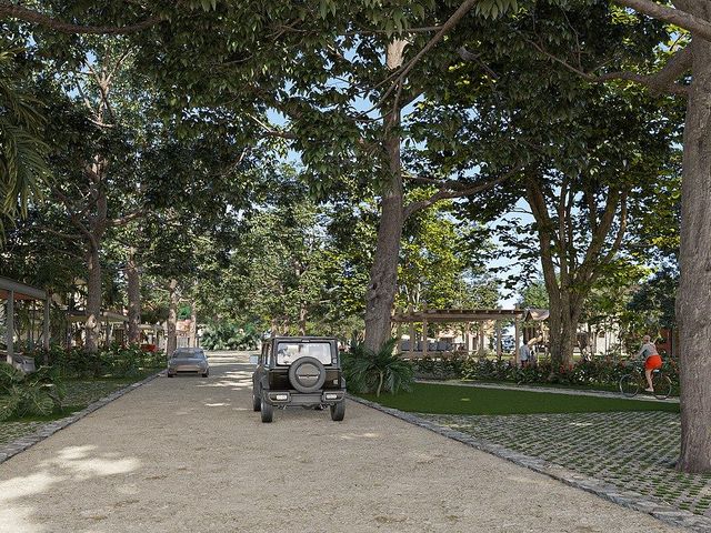 place photo 37