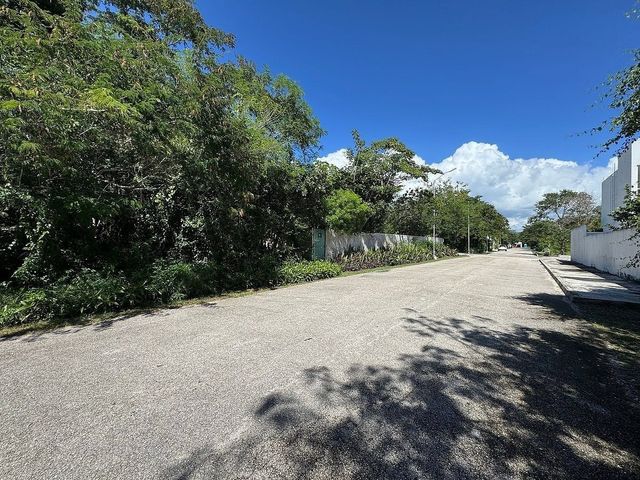 place photo 13