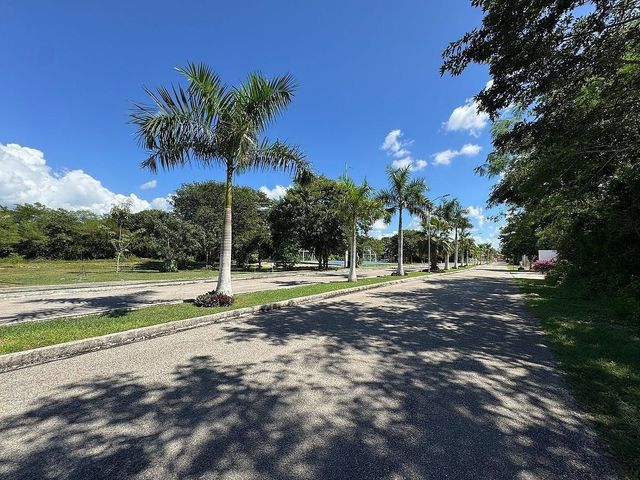 place photo 9