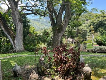 place photo 48