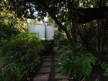 place photo 46