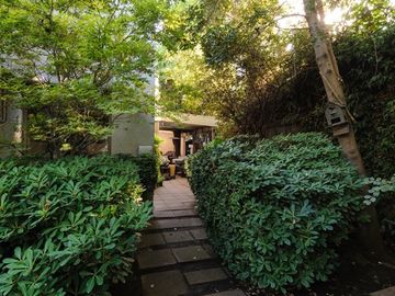 place photo 47
