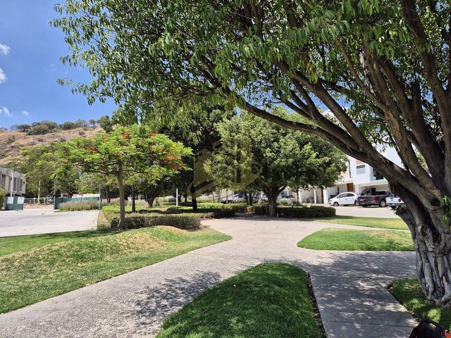 place photo 47