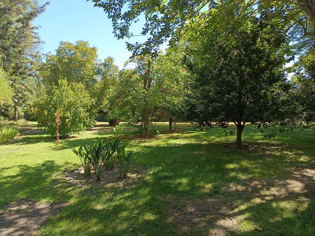 place photo 25