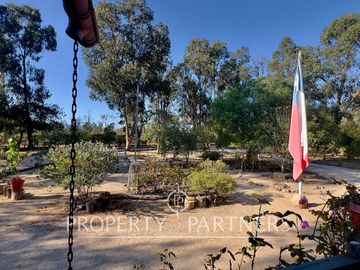 place photo 15