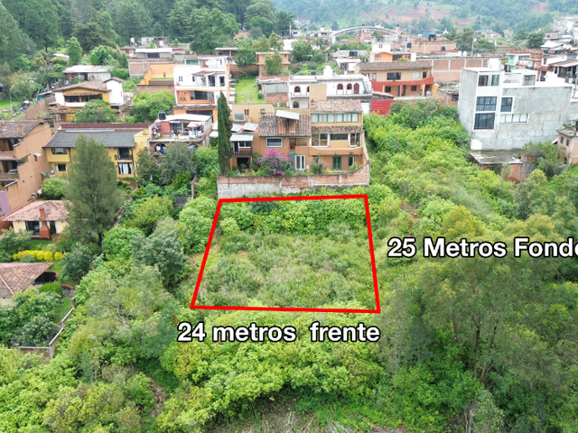 place photo 47
