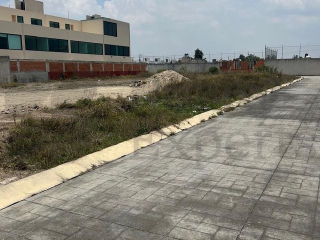 place photo 16