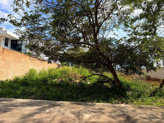 place photo 28