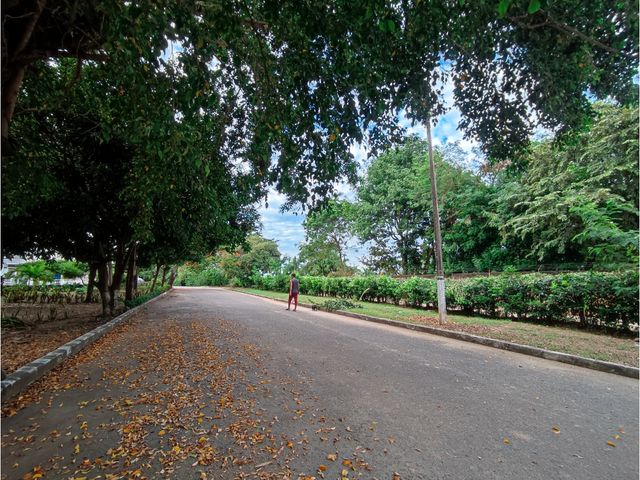 place photo 61