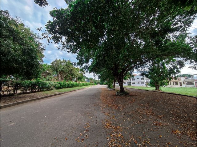 place photo 60