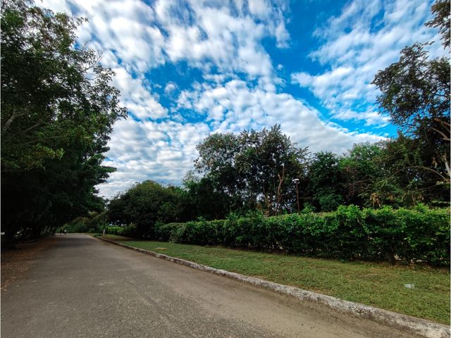 place photo 62