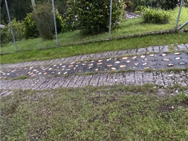 place photo 49