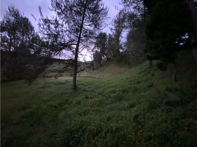 place photo 46