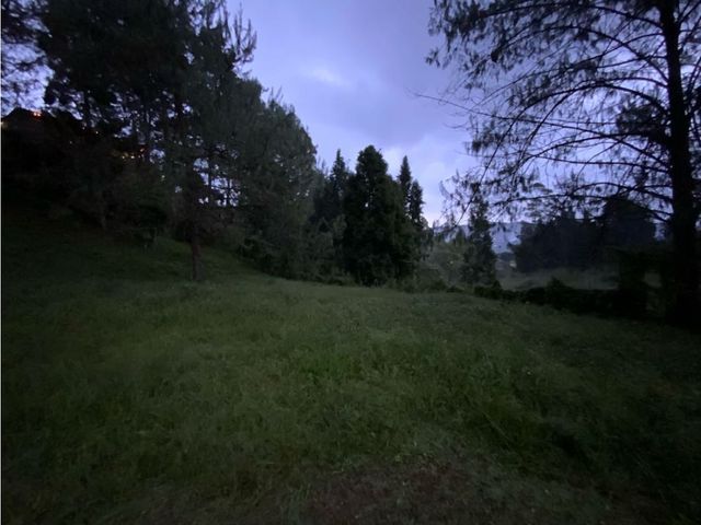 place photo 44