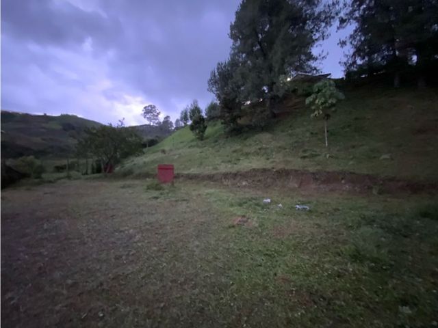 place photo 45