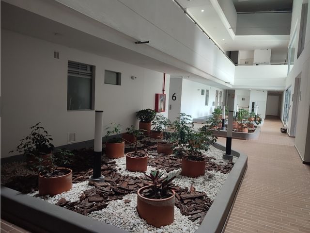 place photo 37