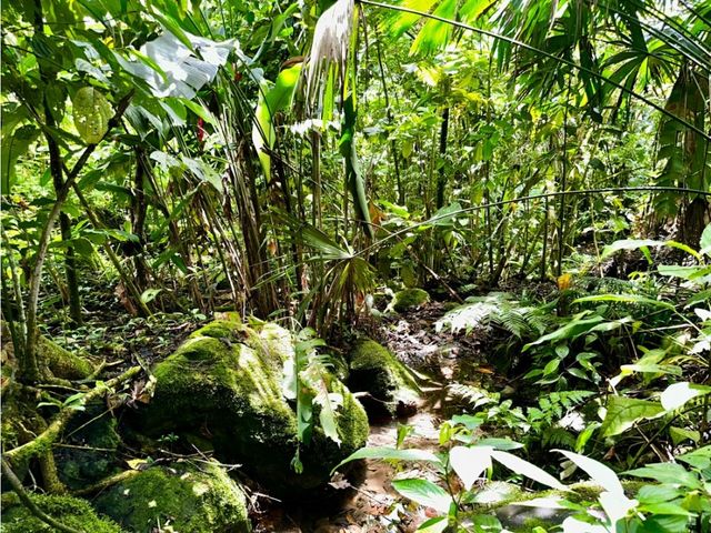 place photo 29