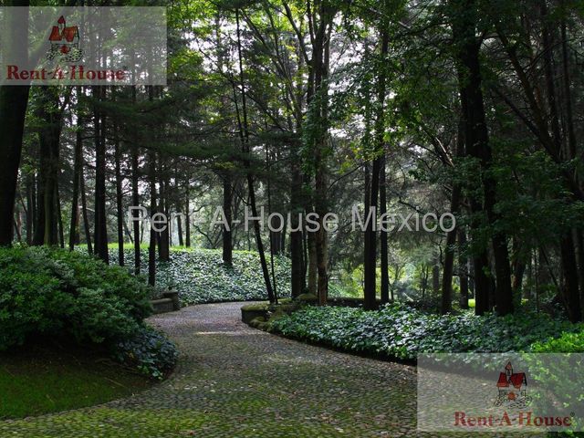 place photo 61