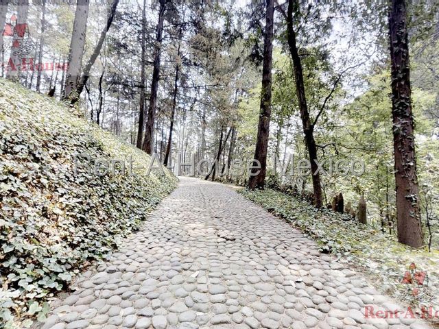 place photo 71