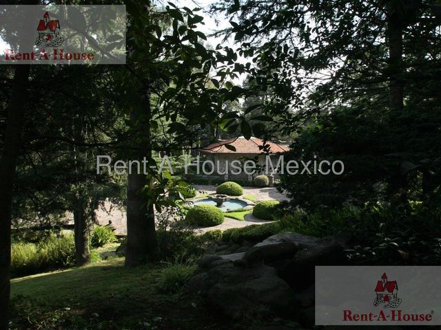 place photo 41