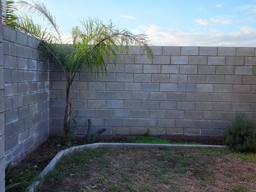 place photo 38
