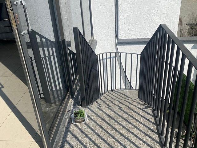 place photo 35