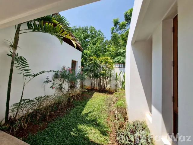 place photo 36