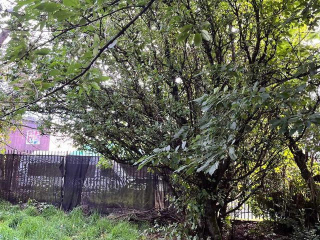 place photo 13