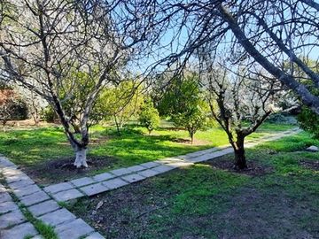 place photo 39