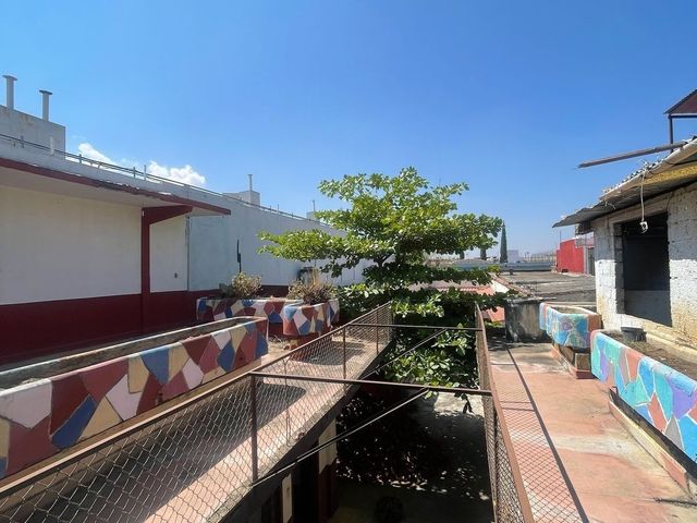place photo 26