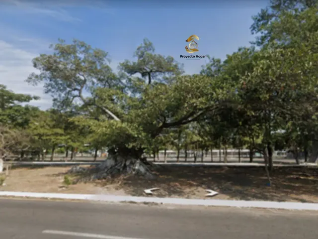 place photo 2