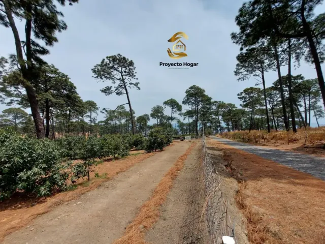 place photo 8