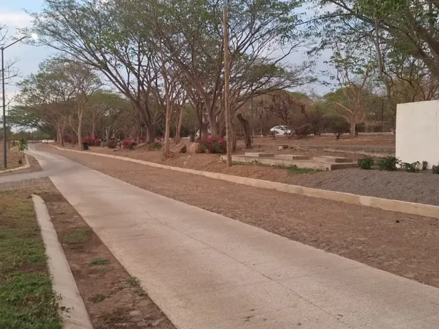 place photo 11