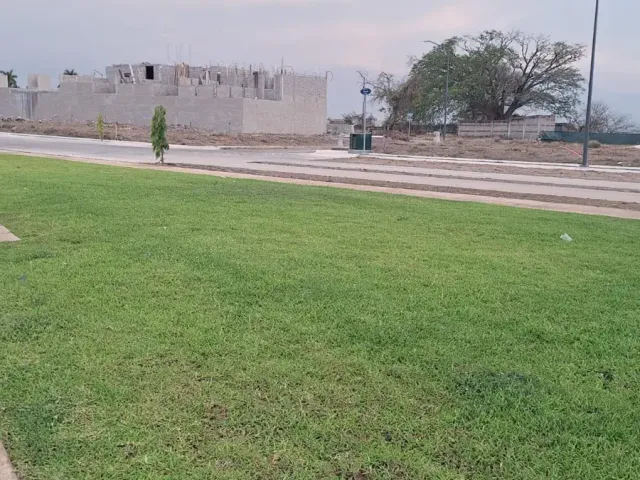 place photo 16