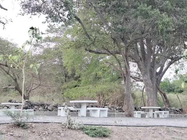 place photo 14