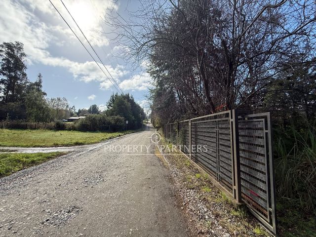 place photo 34