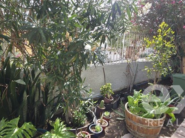 place photo 66