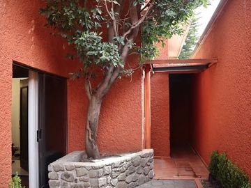 place photo 25