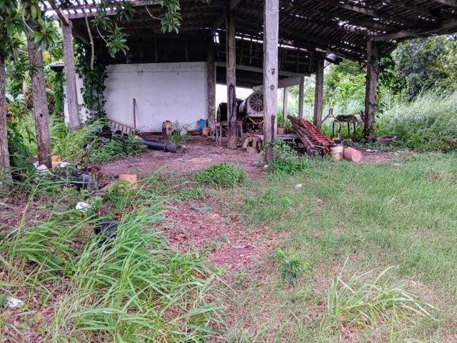 place photo 7