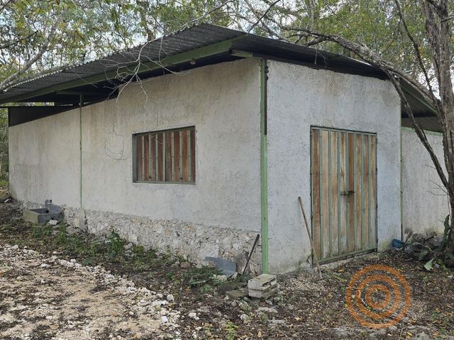 place photo 37