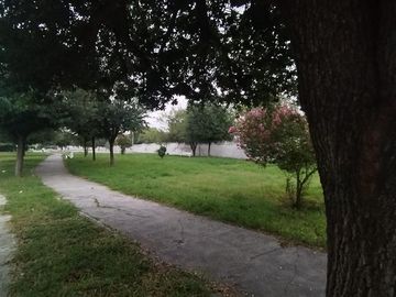 place photo 31