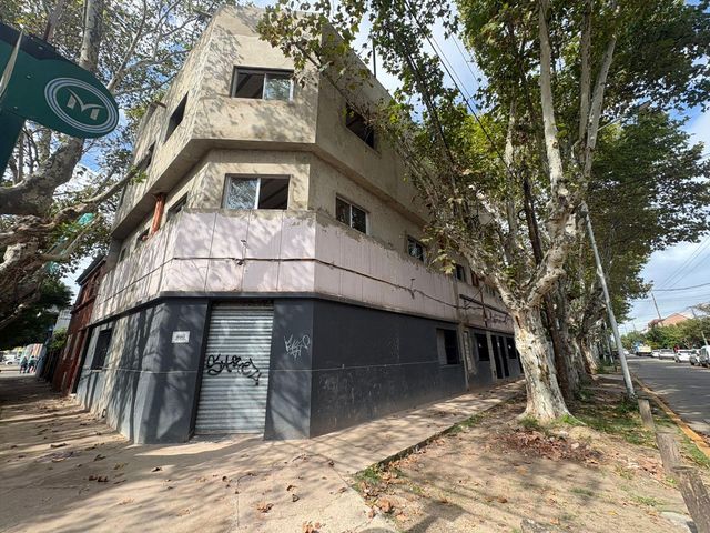 place photo 25