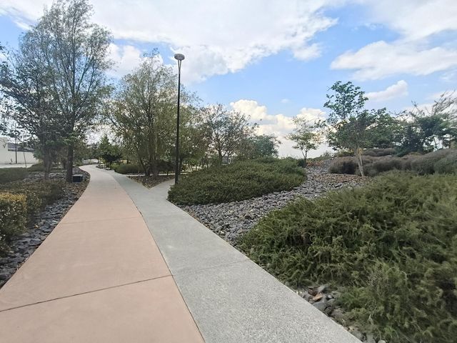 place photo 24