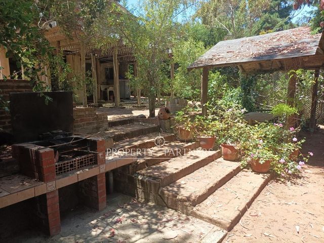 place photo 44
