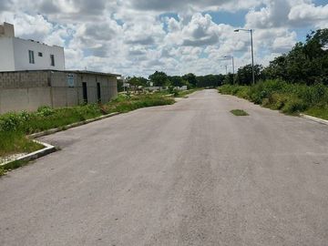 place photo 34