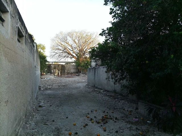 place photo 13
