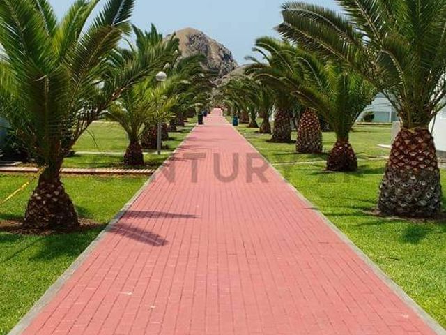 place photo 8